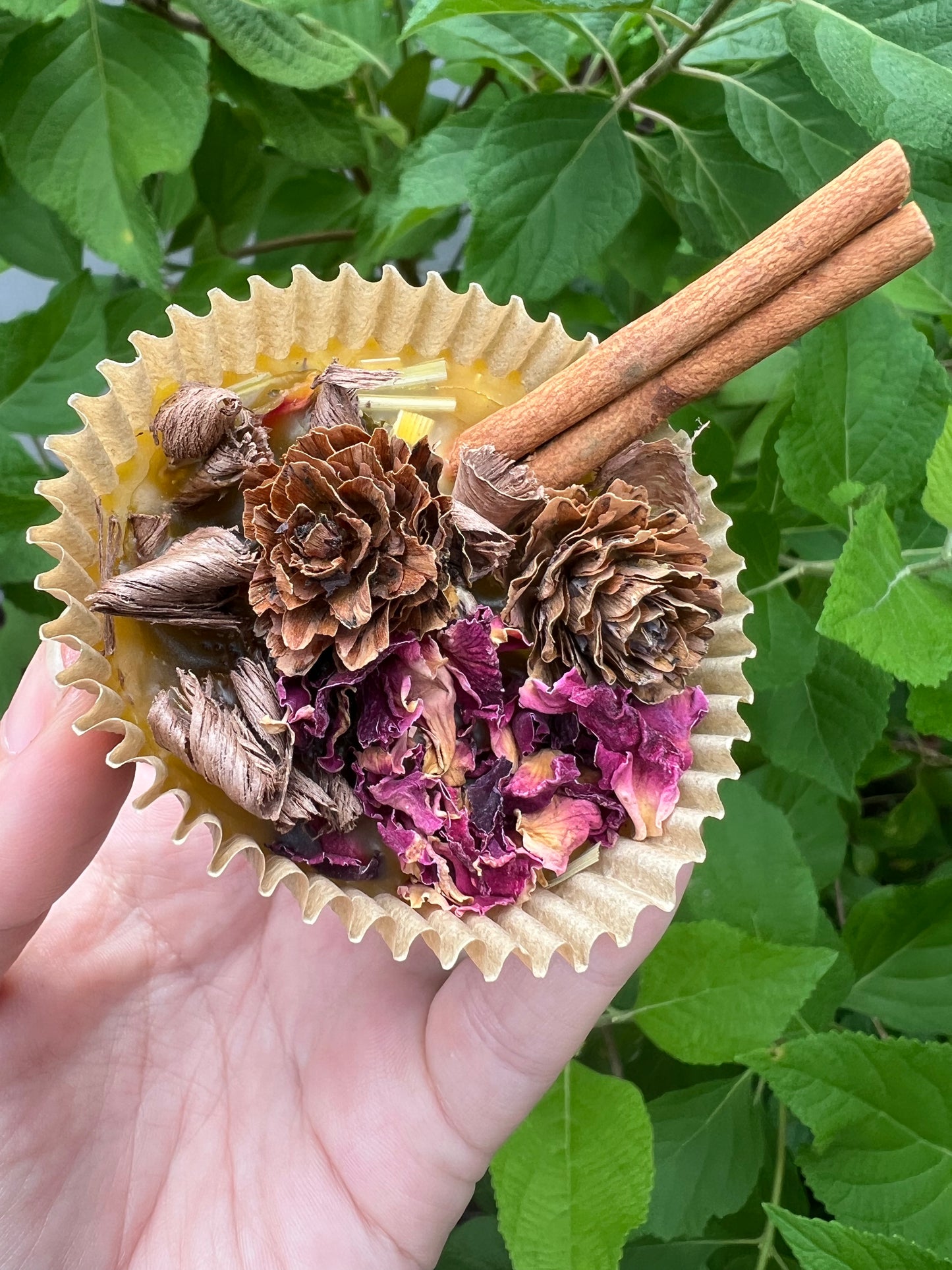 All Natural Fire Starter (set of 3)