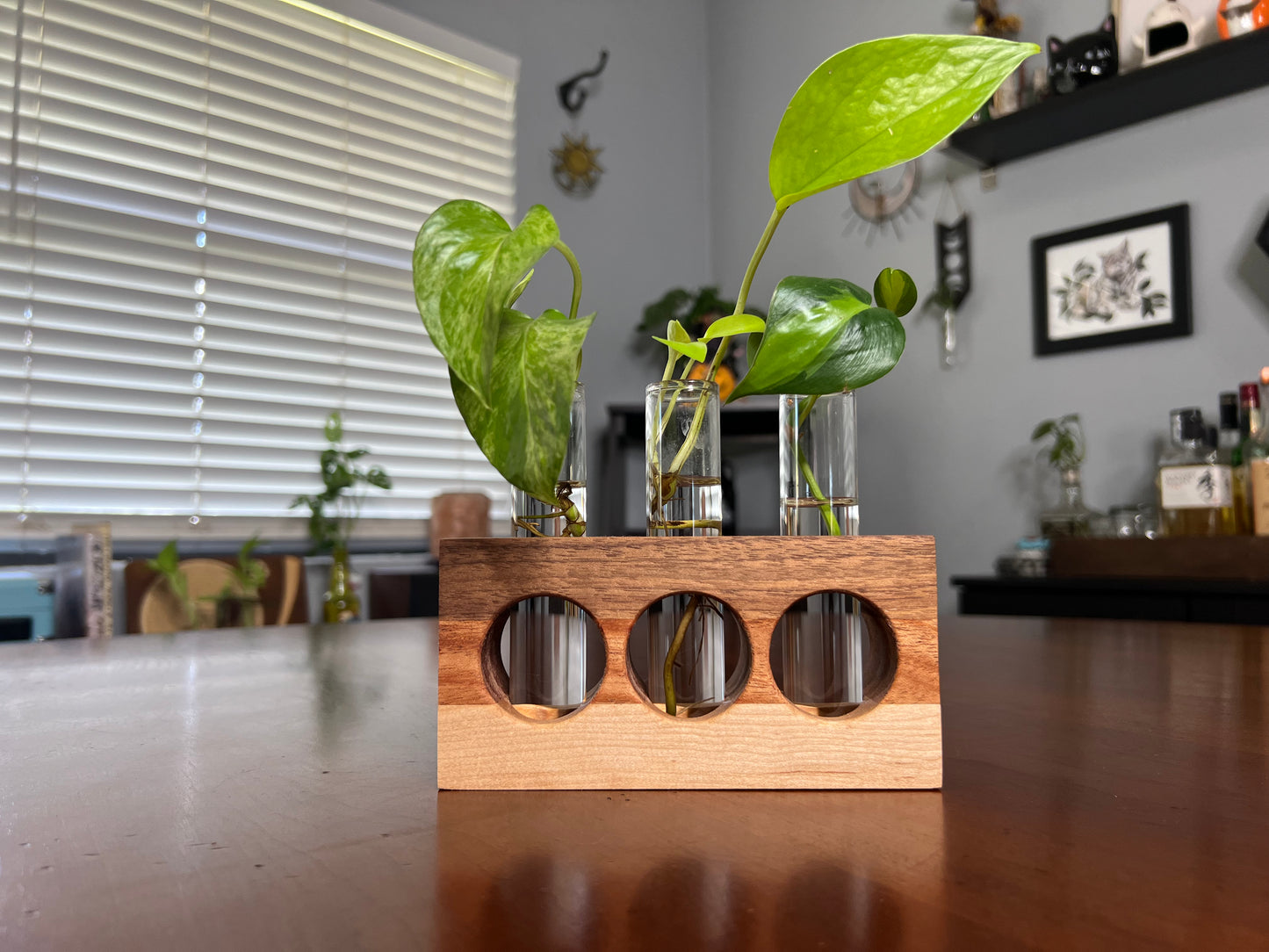 Tricolor Natural Propagation Station (Triple)