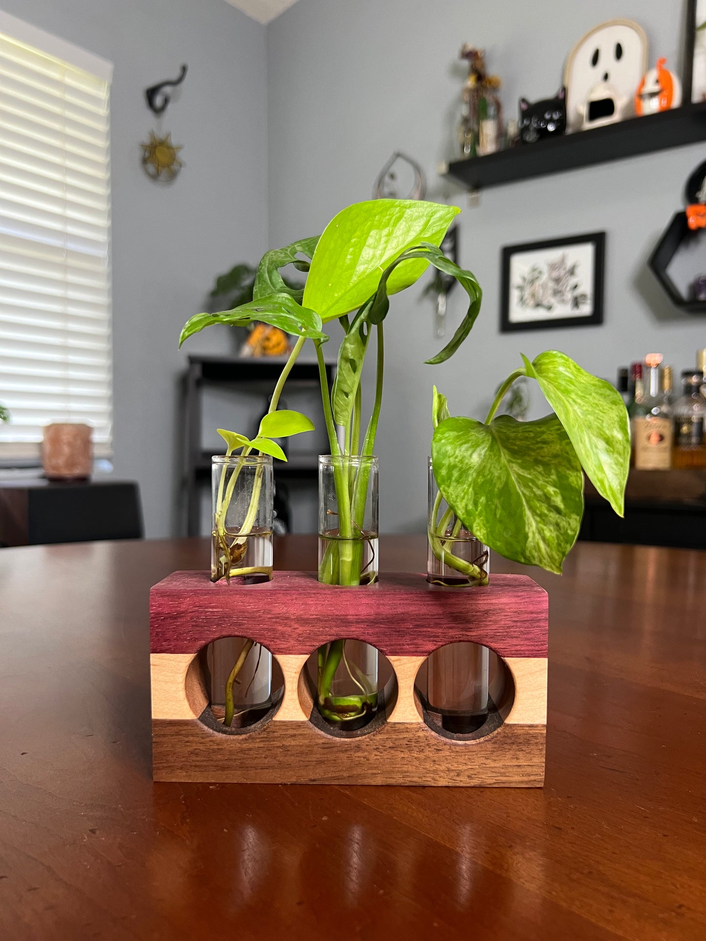 Tricolor Purpleheart Propagation Station (triple)