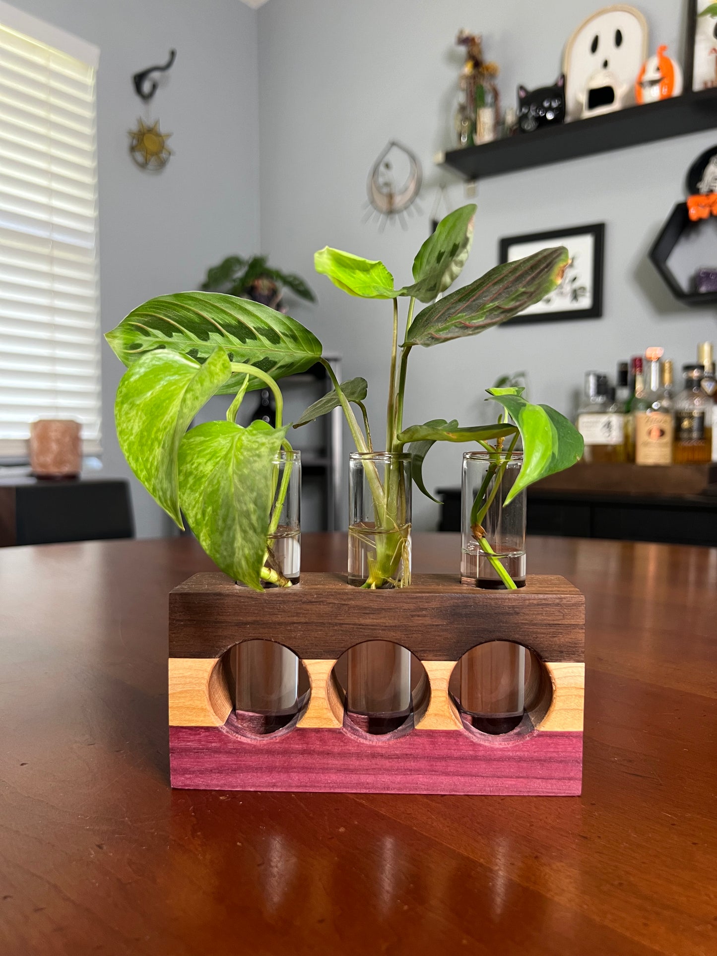 Tricolor Purpleheart Propagation Station (triple)