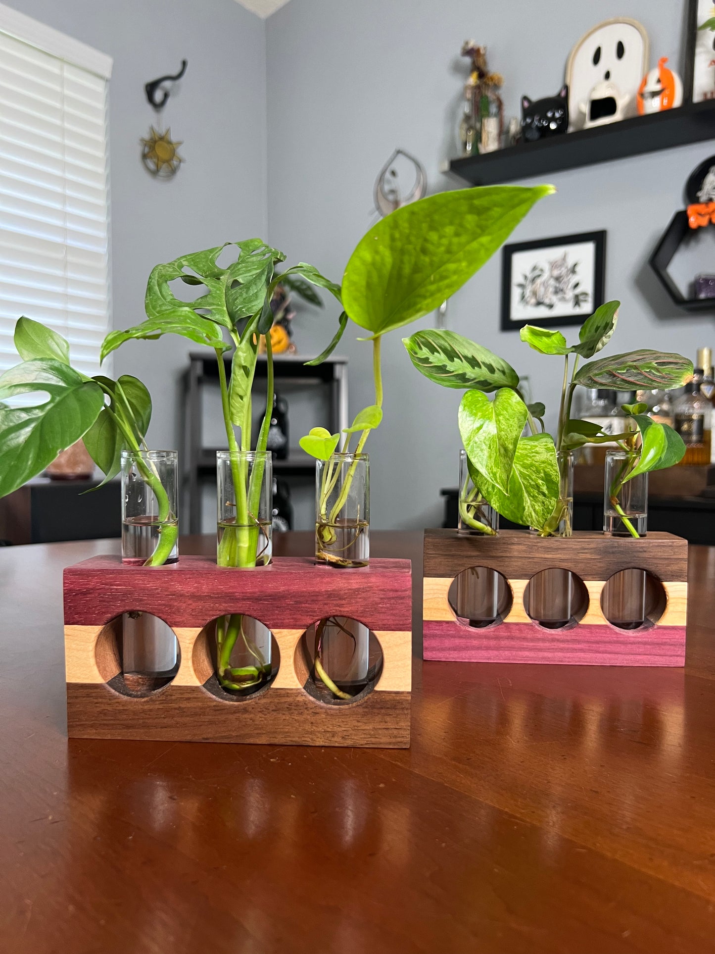 Tricolor Purpleheart Propagation Station (triple)