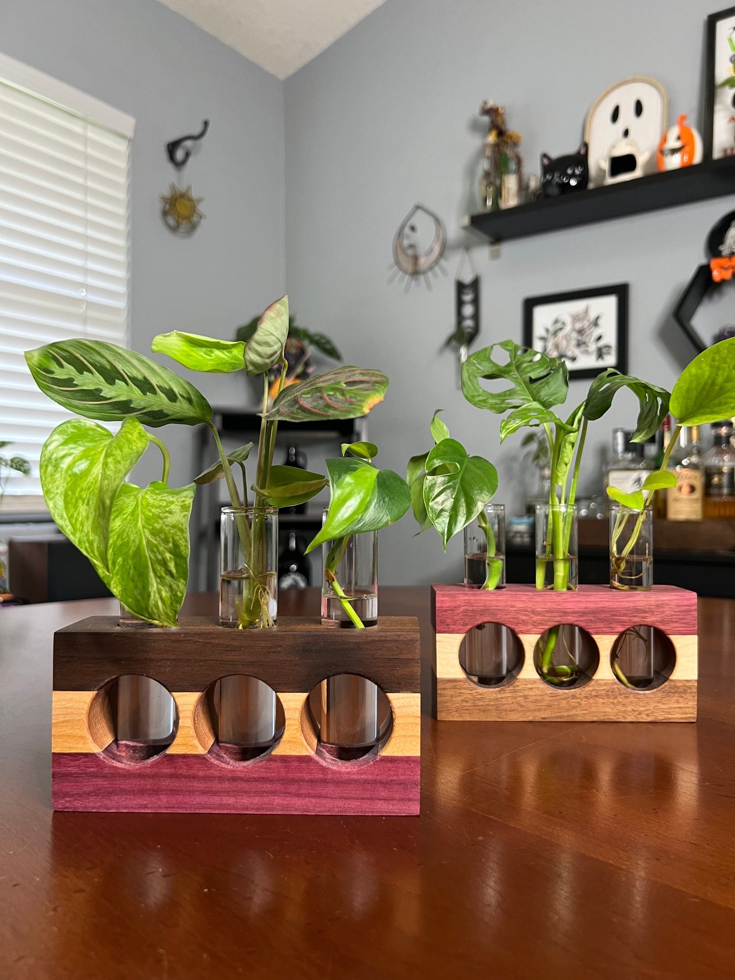 Tricolor Purpleheart Propagation Station (triple)