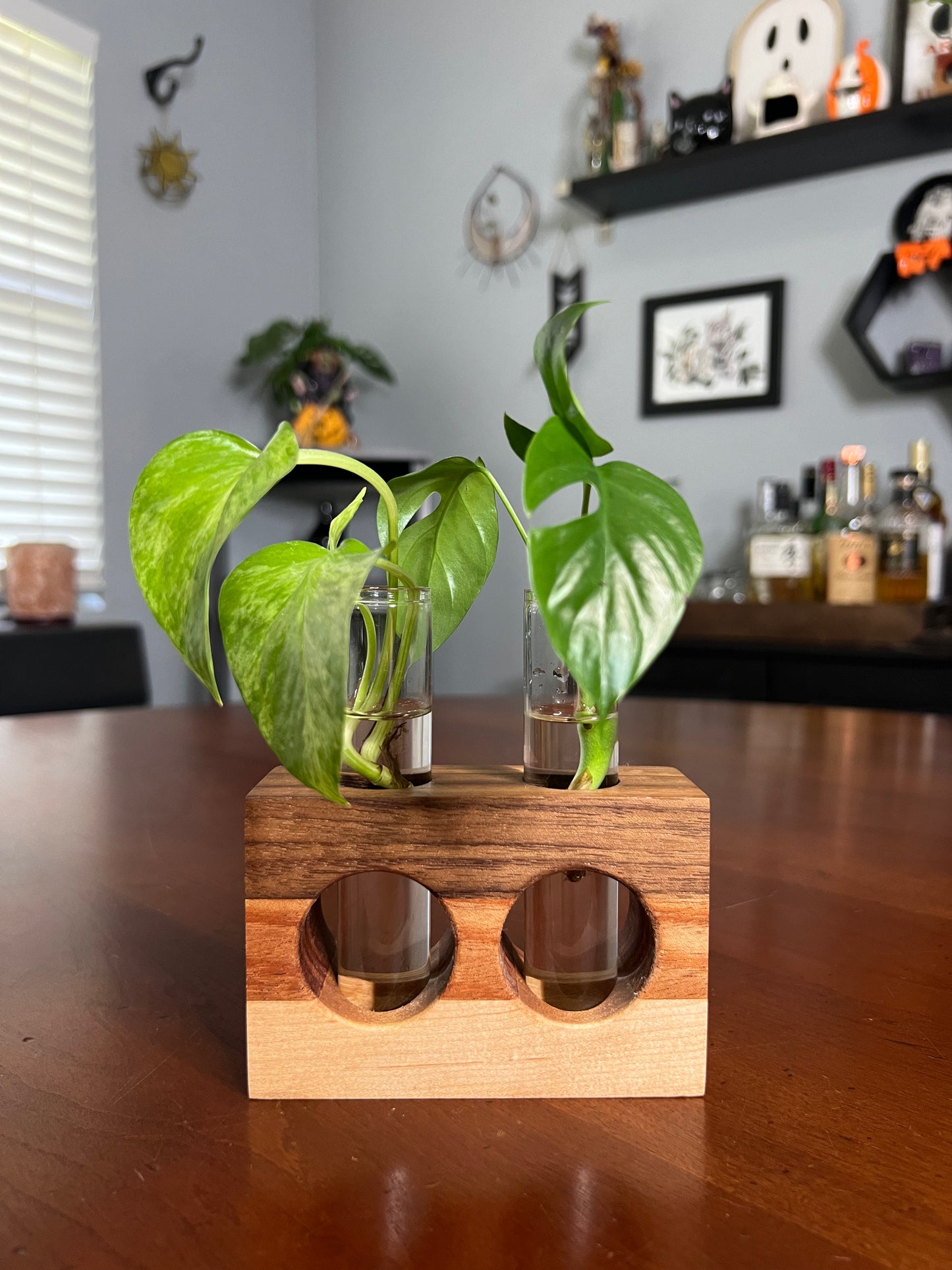 Tricolor Natural Propagation Station (Double)