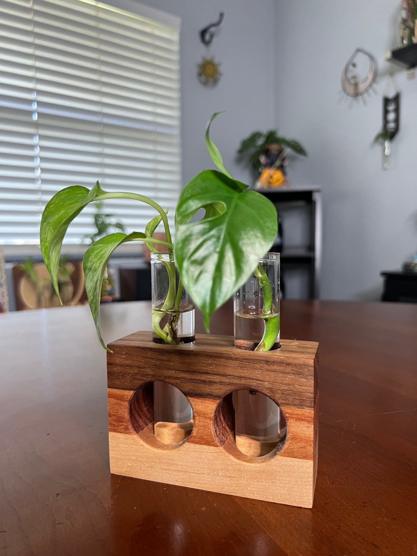 Tricolor Natural Propagation Station (Double)