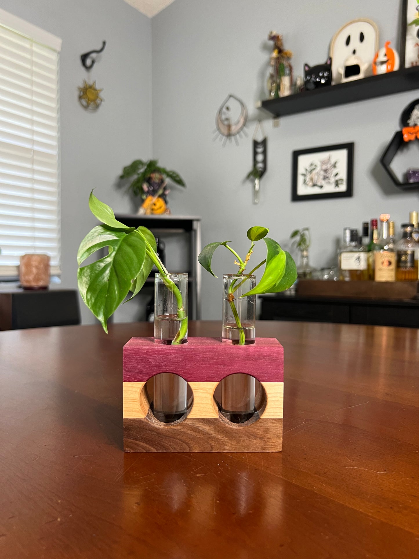 Tricolor Purpleheart Propagation Station (Double)
