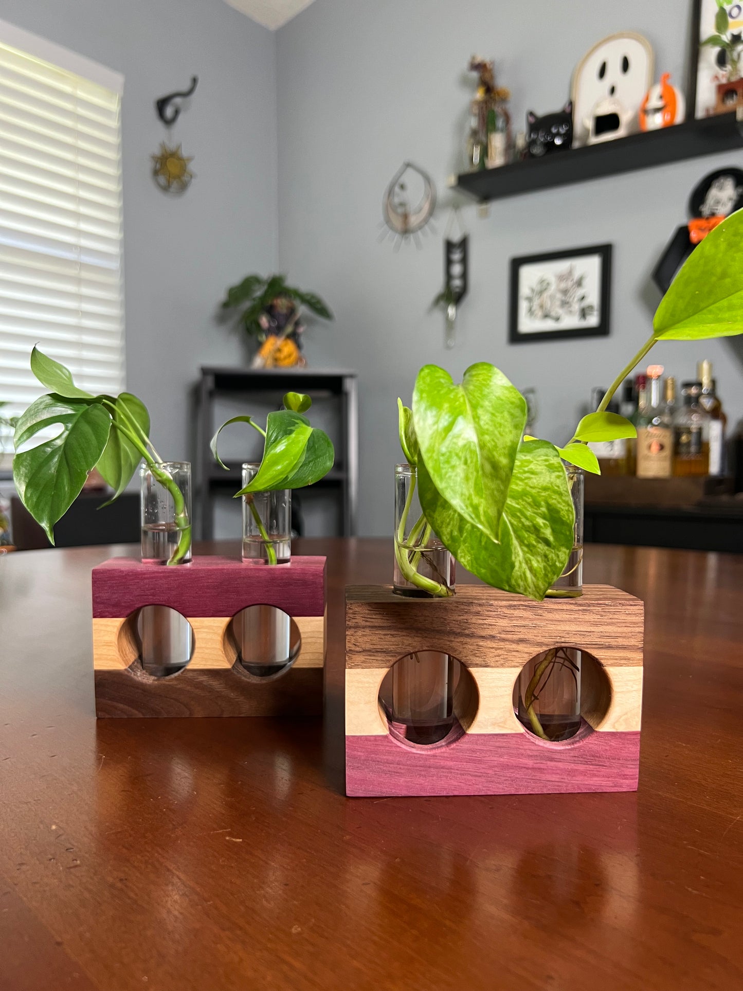 Tricolor Purpleheart Propagation Station (Double)