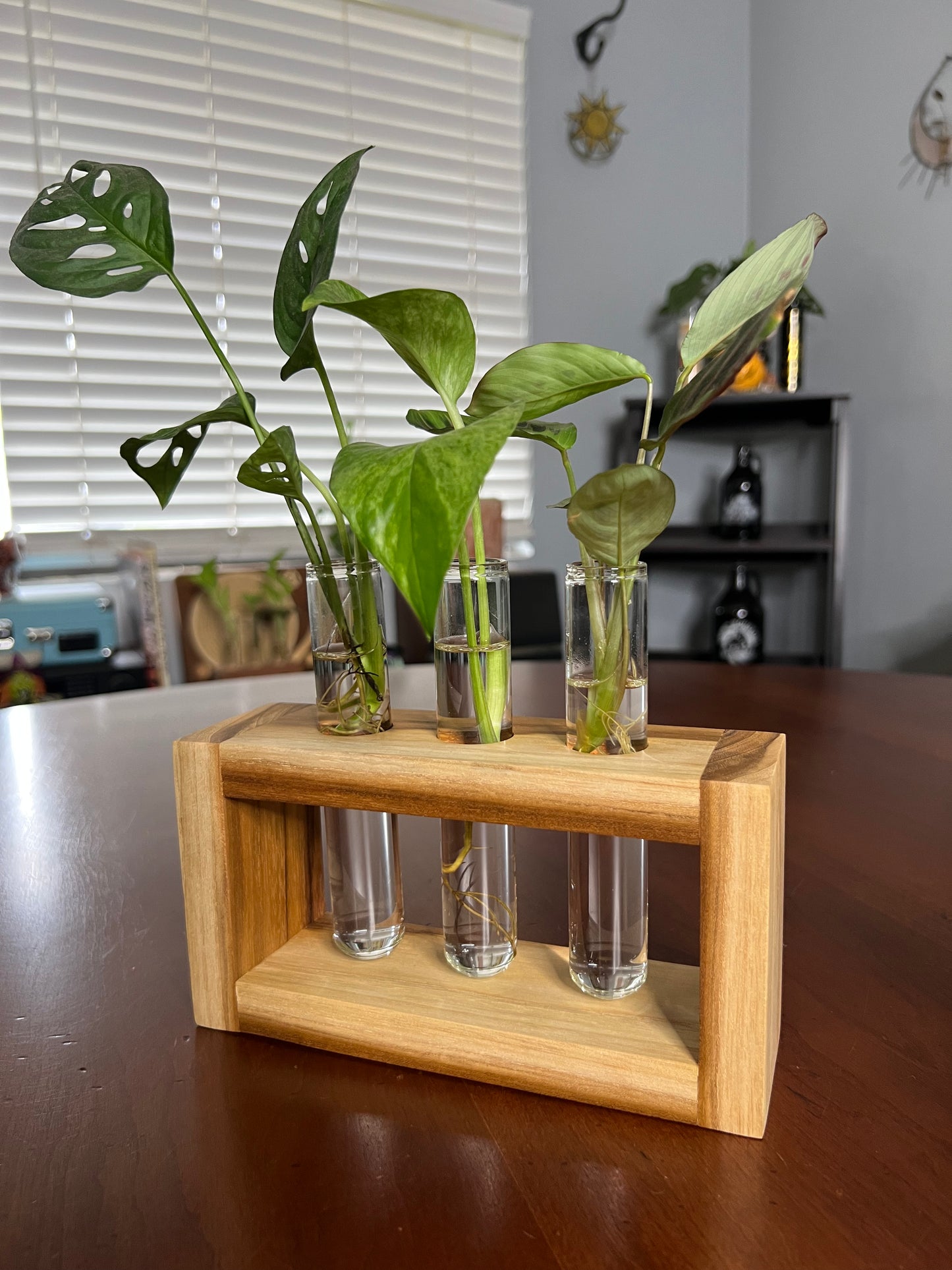 Teak Propagation Station