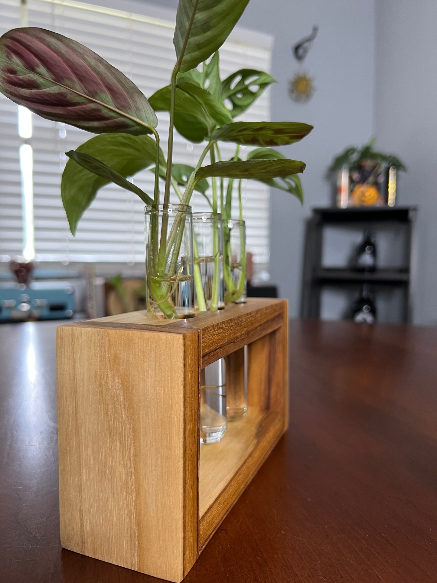 Teak Propagation Station