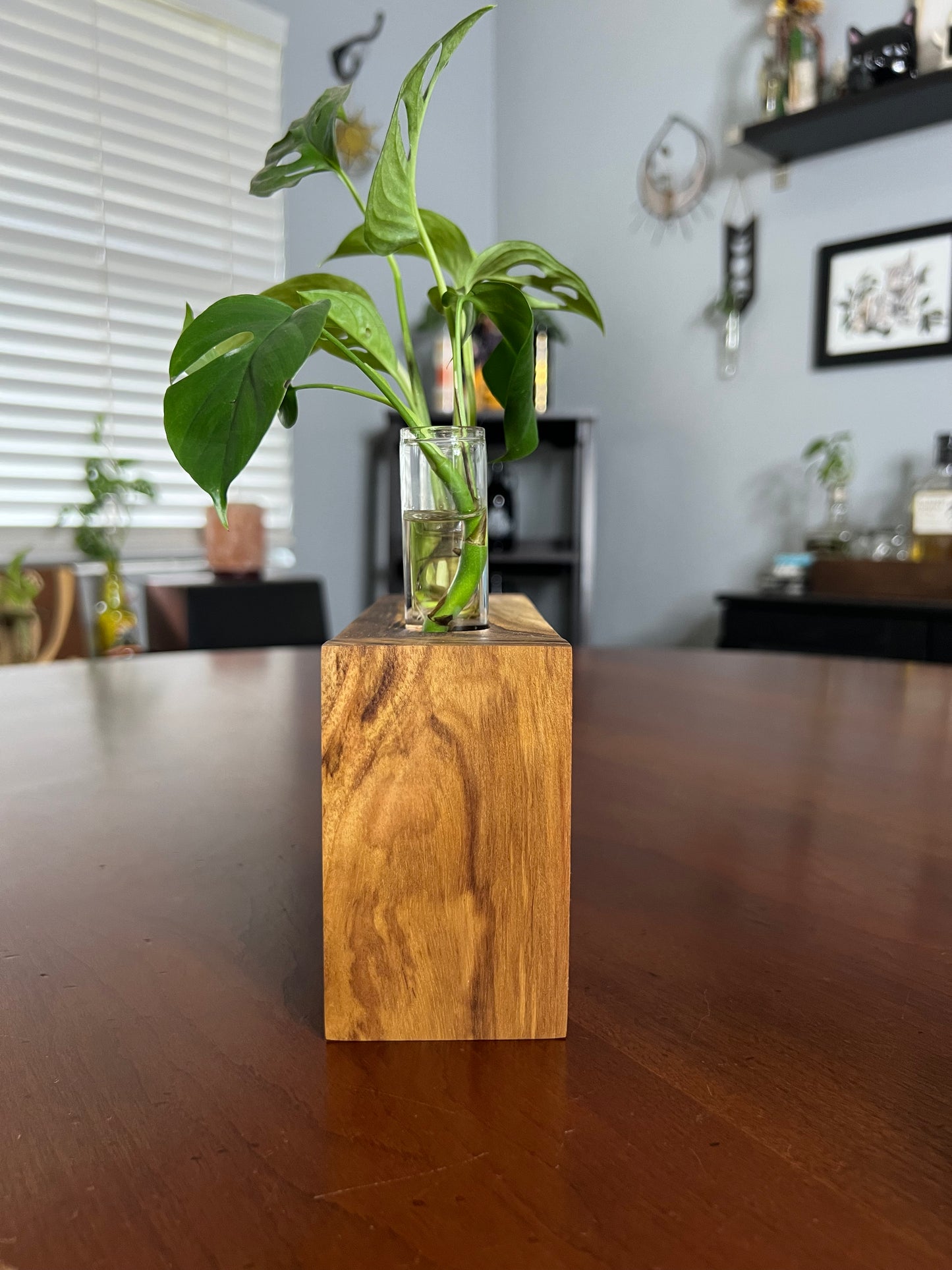 Teak Propagation Station