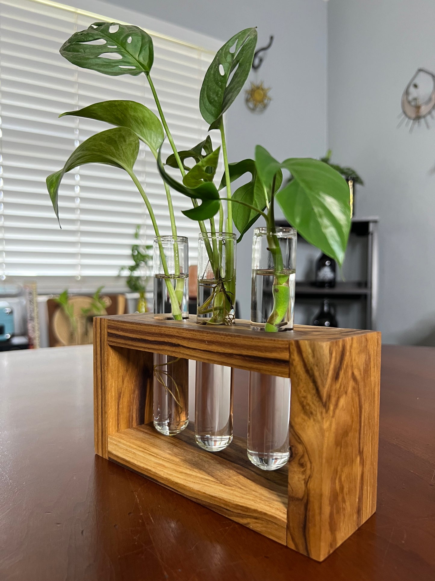 Teak Propagation Station