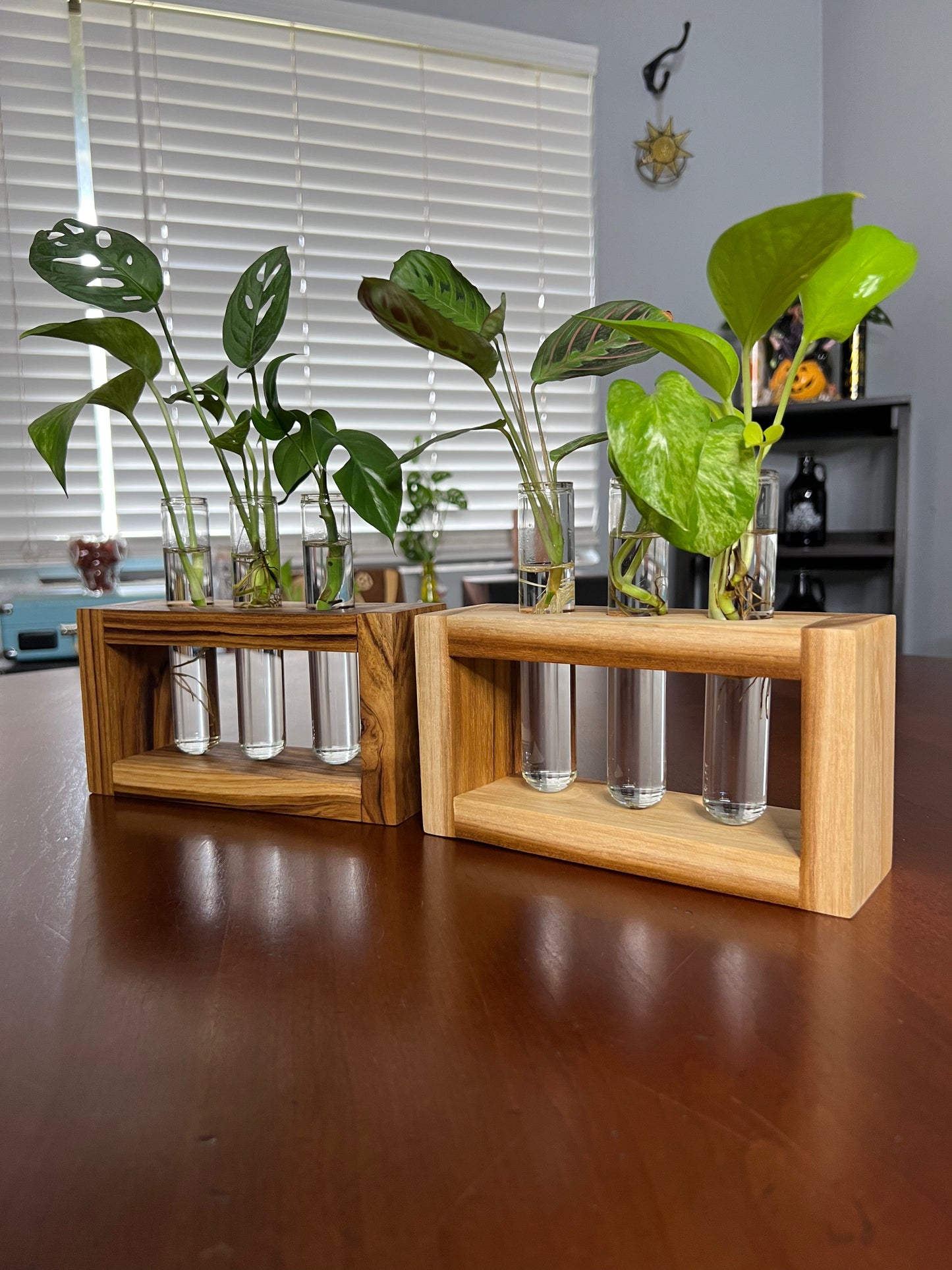 Teak Propagation Station