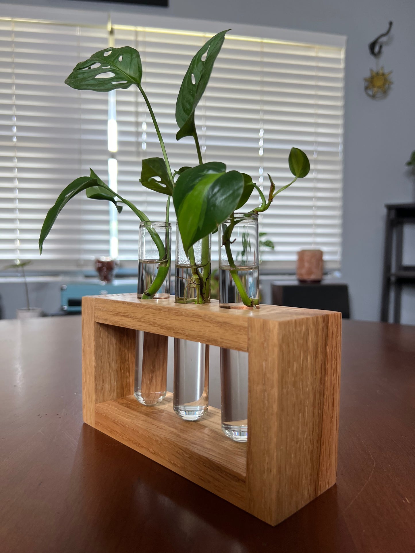 Oak Propagation Station