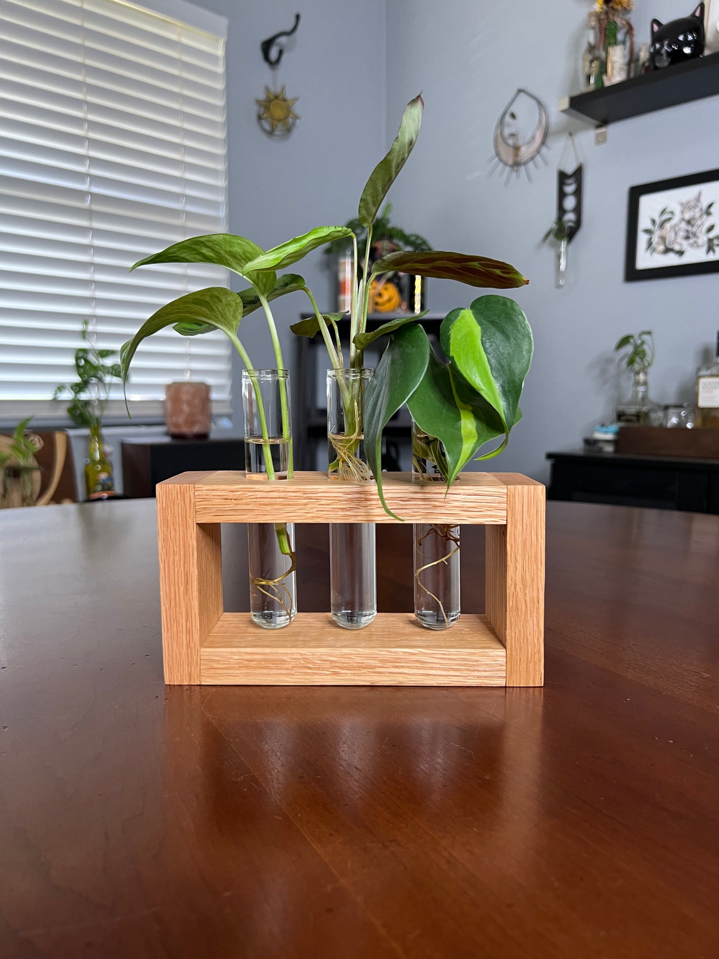 Oak Propagation Station