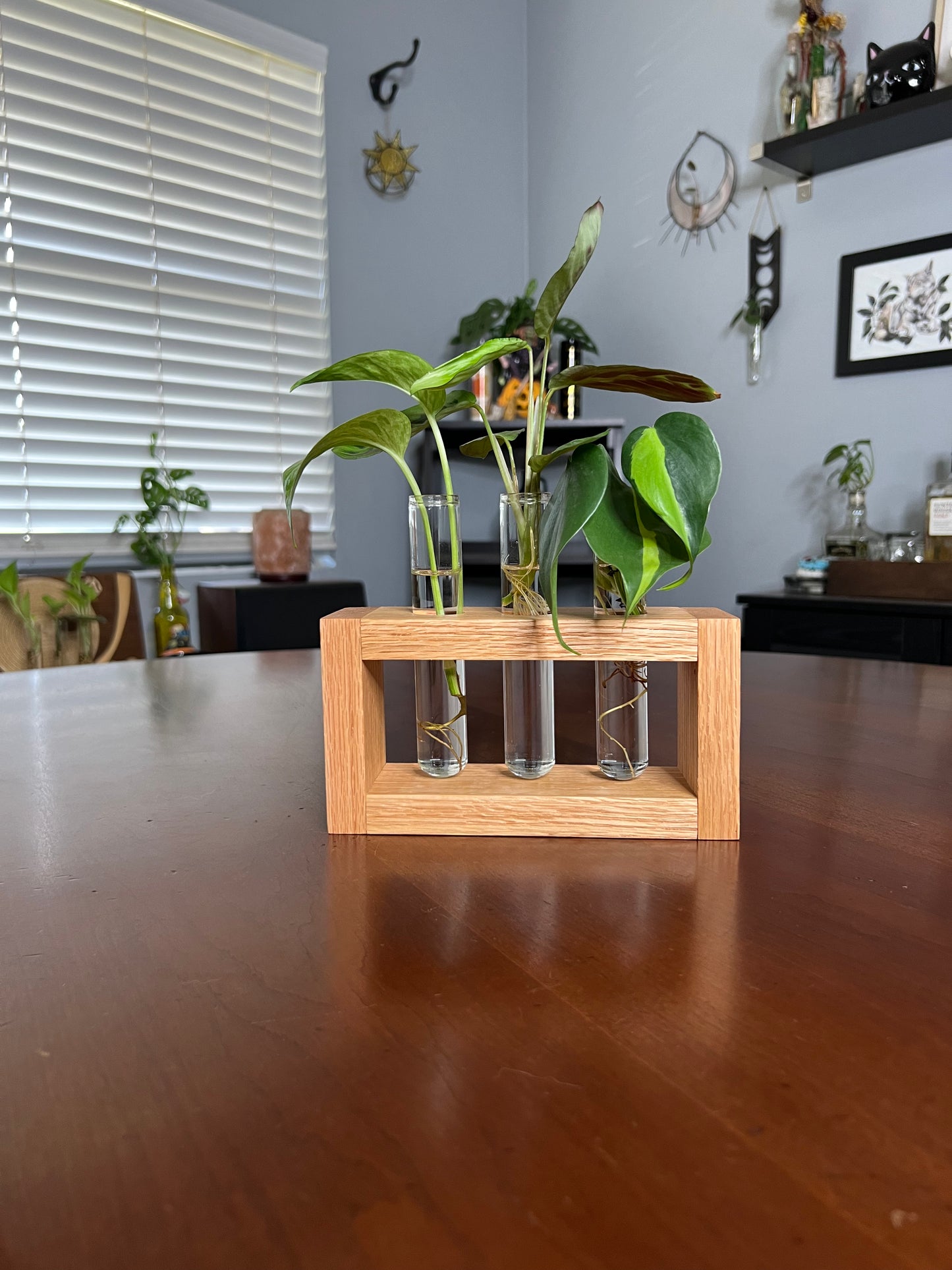 Oak Propagation Station