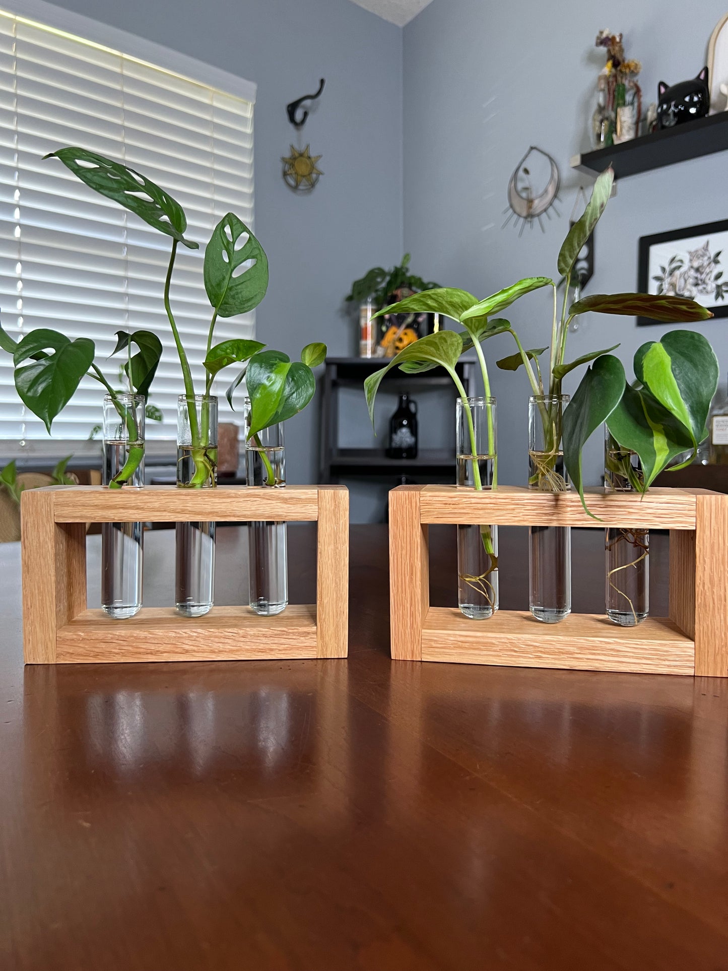 Oak Propagation Station