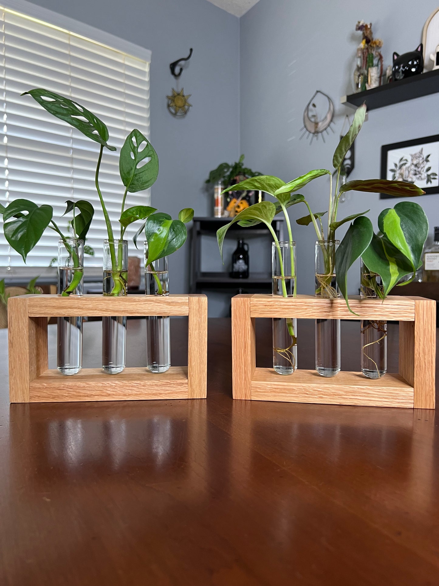 Oak Propagation Station