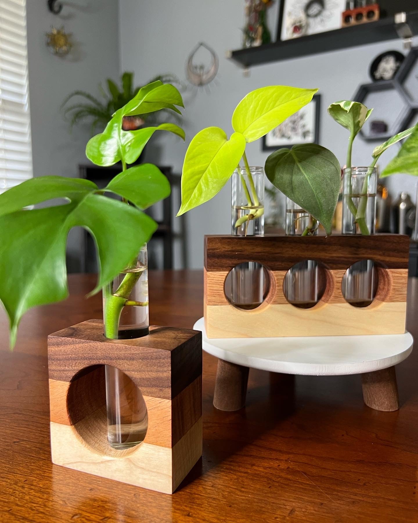 Tricolor Natural Propagation Station (Triple)