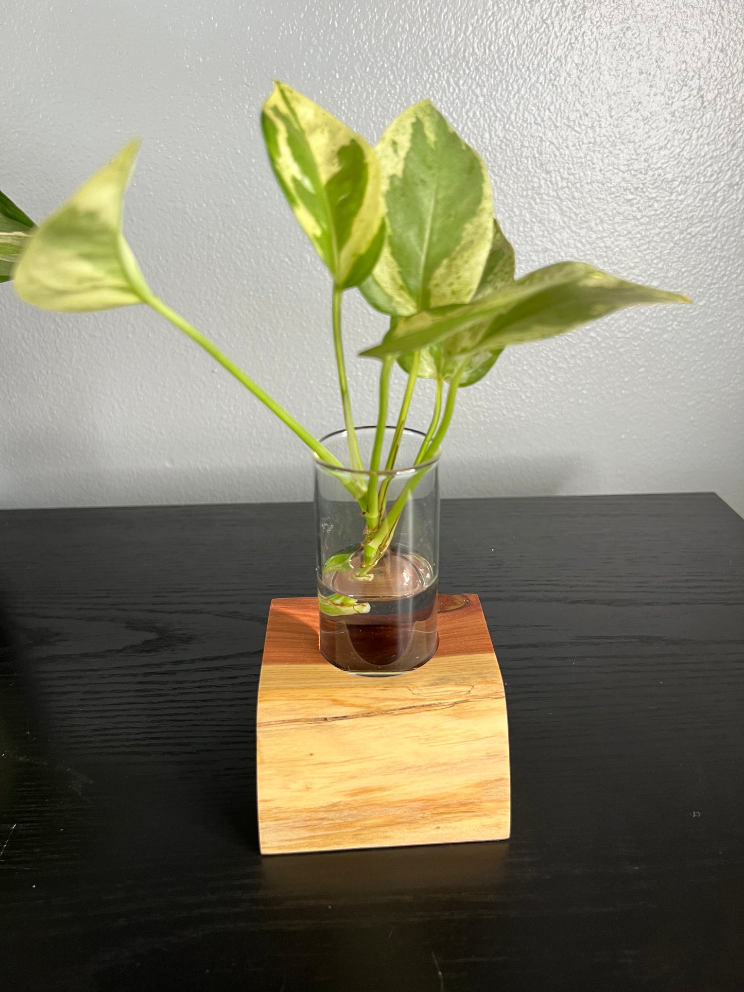 Red Cedar Vase