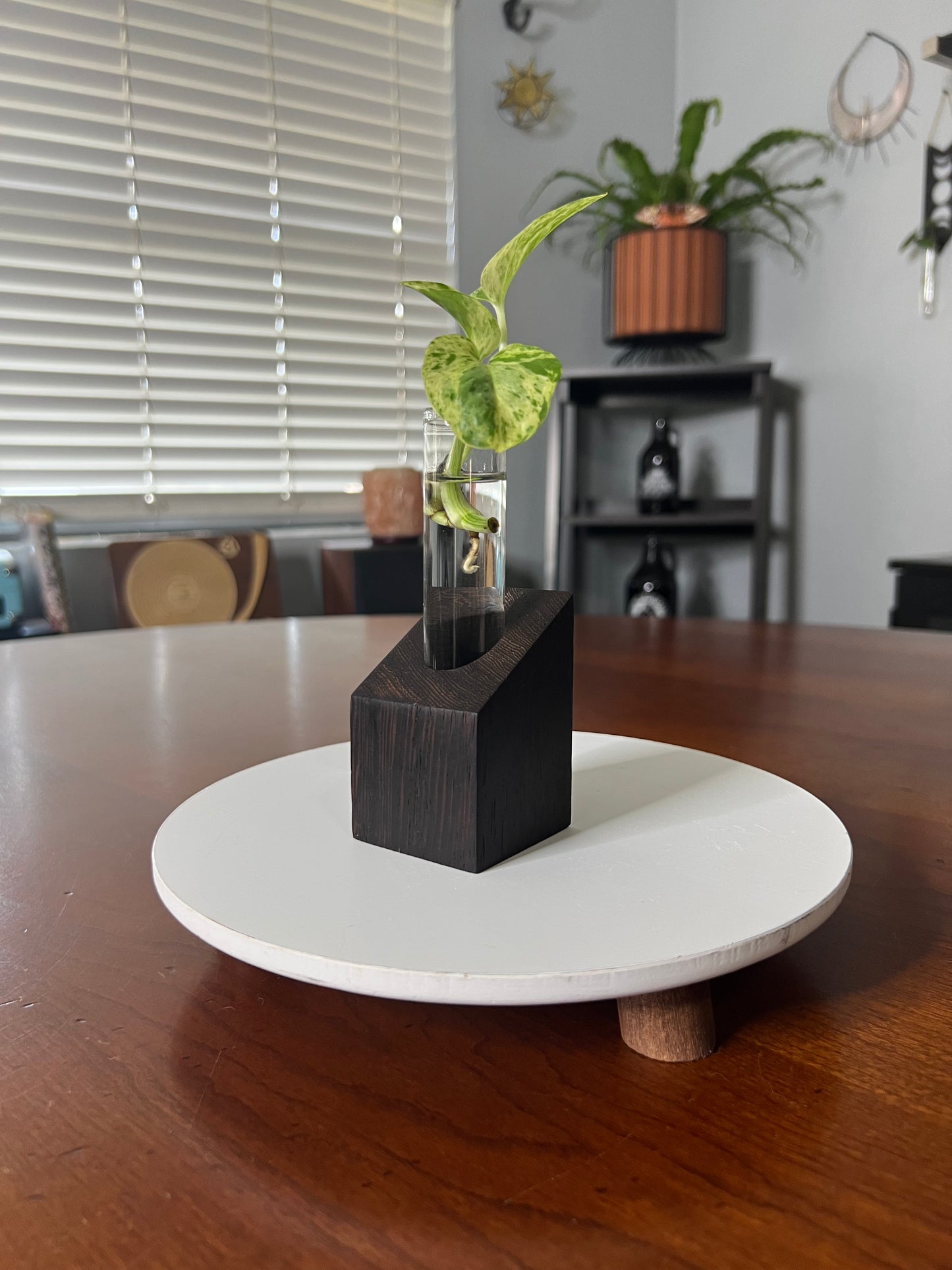 Wenge Propagation Station
