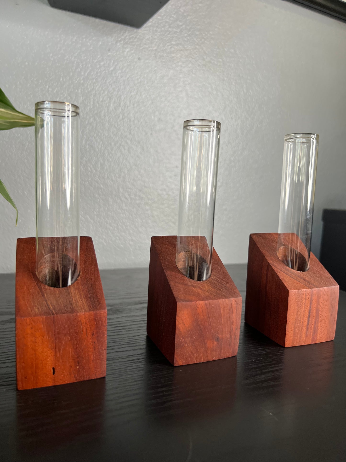 Rosewood Propagation Station