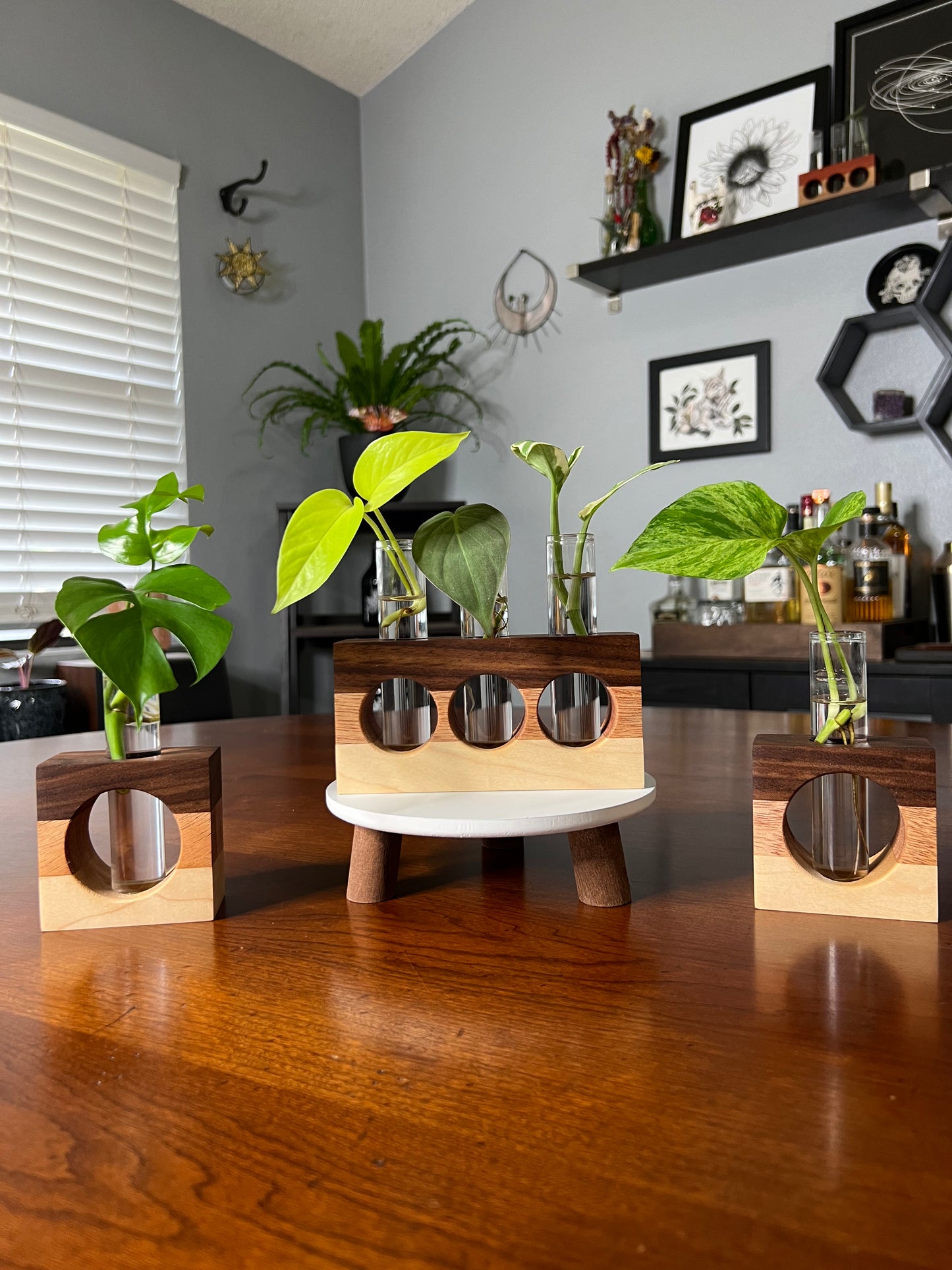 Tricolor Natural Propagation Station (Triple)