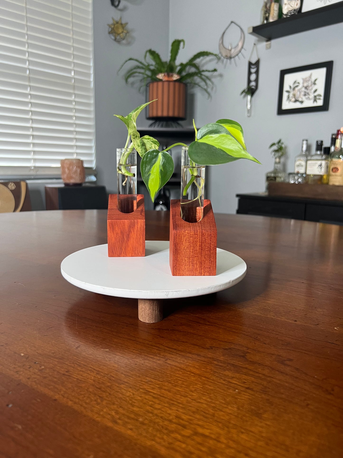 Bloodwood Propagation Stands