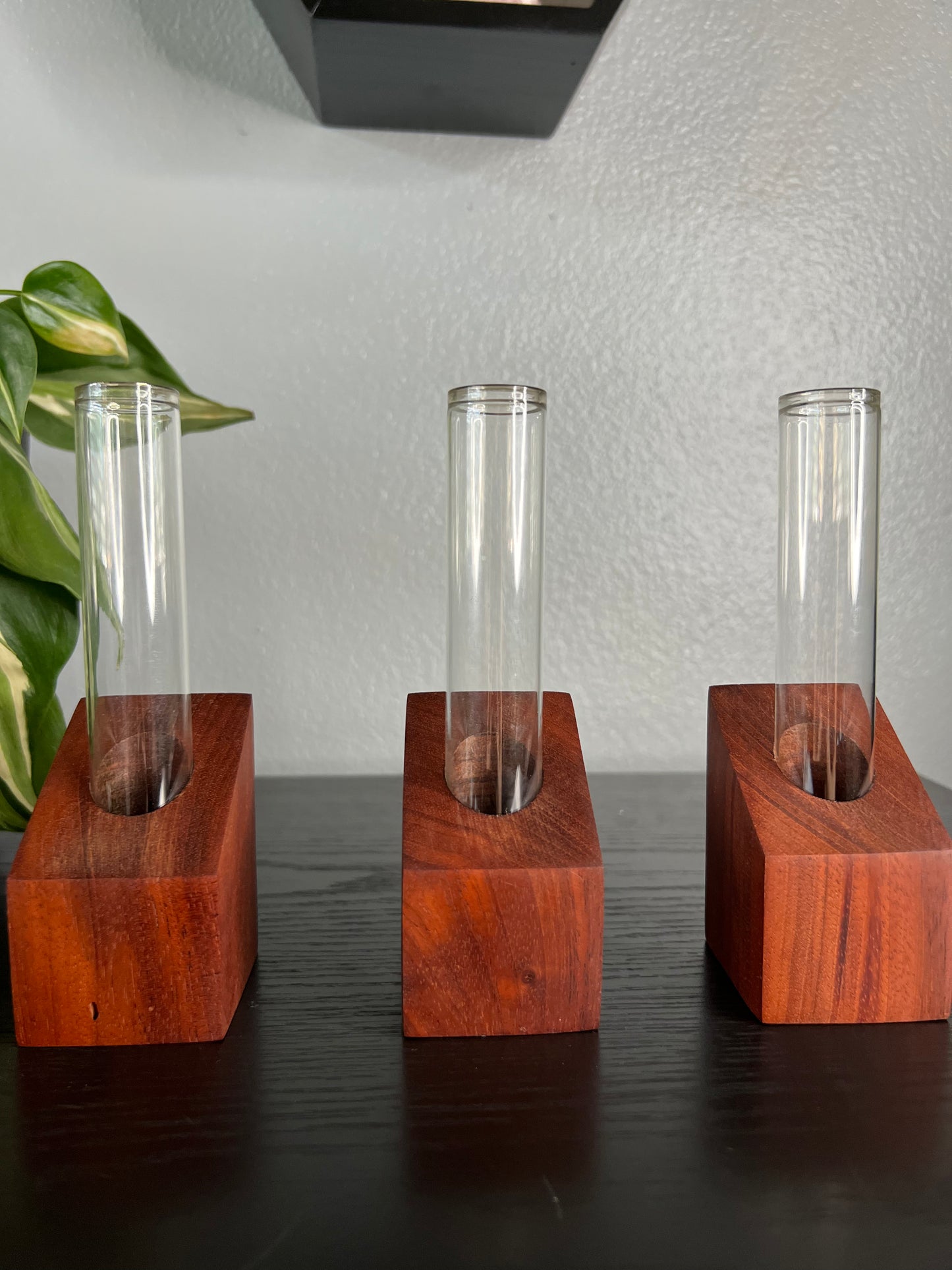 Rosewood Propagation Station
