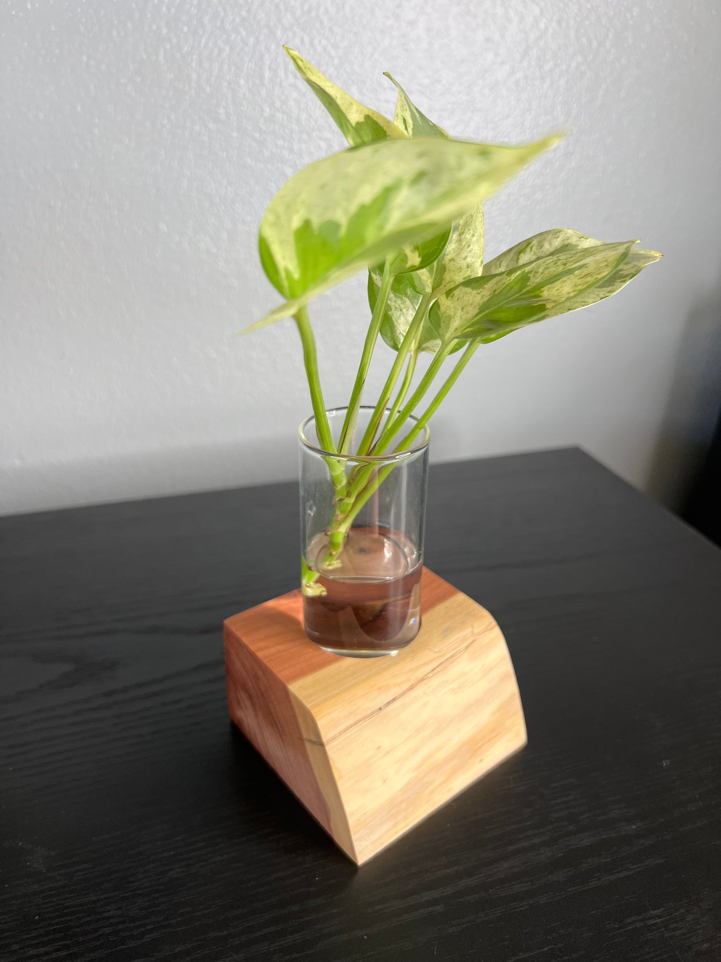 Red Cedar Vase