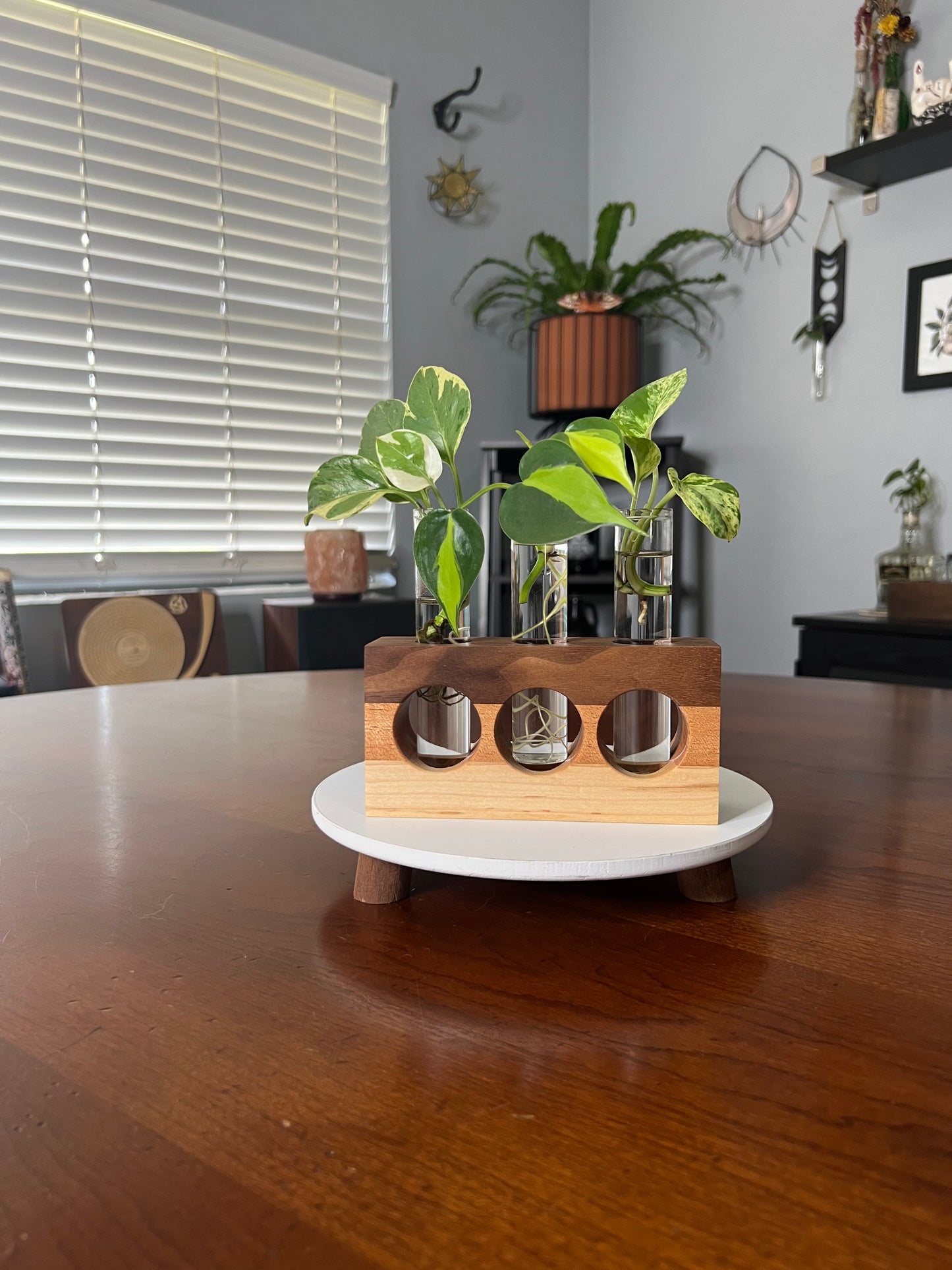 Tricolor Natural Propagation Station (Triple)