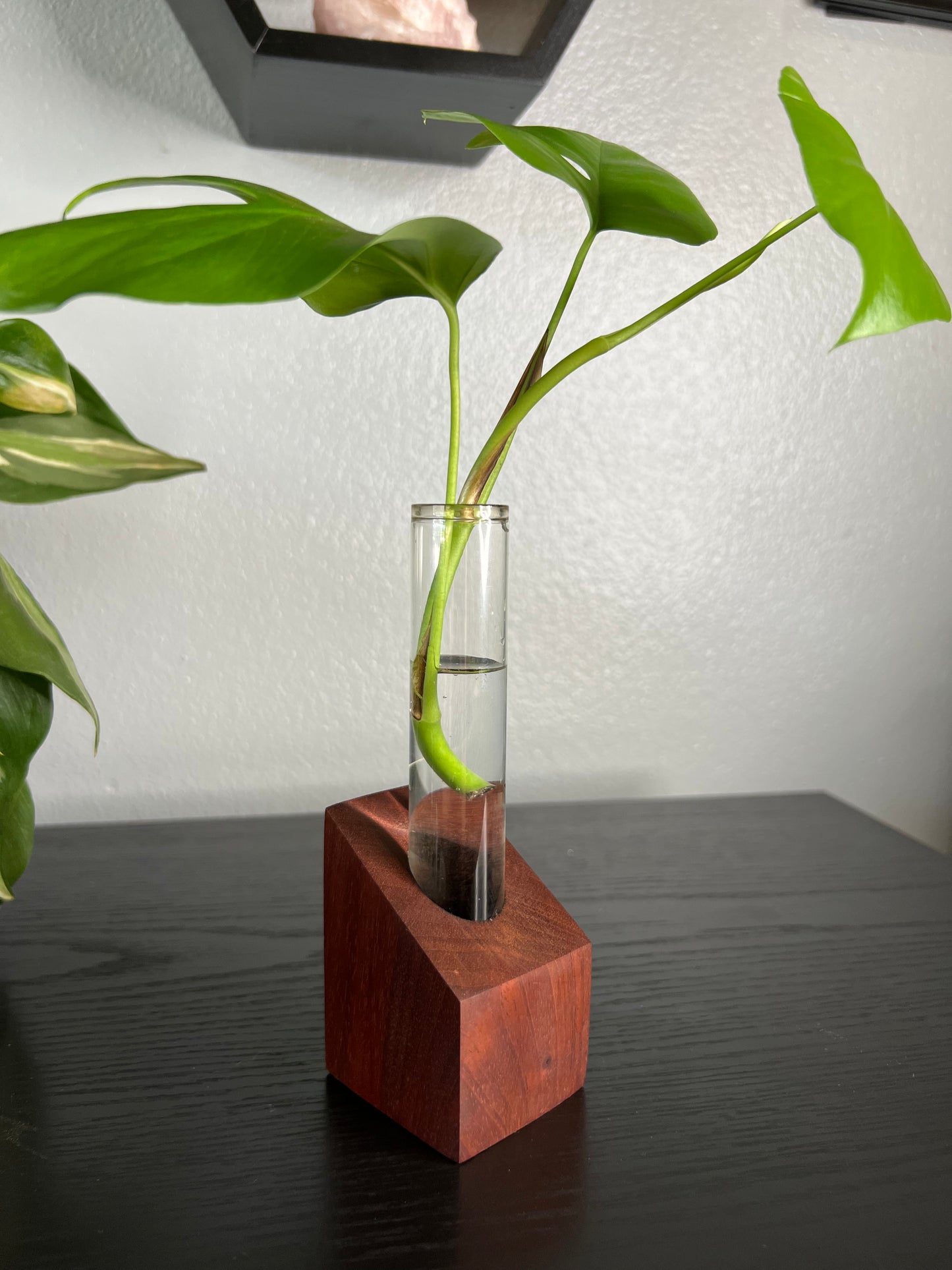 Rosewood Propagation Station