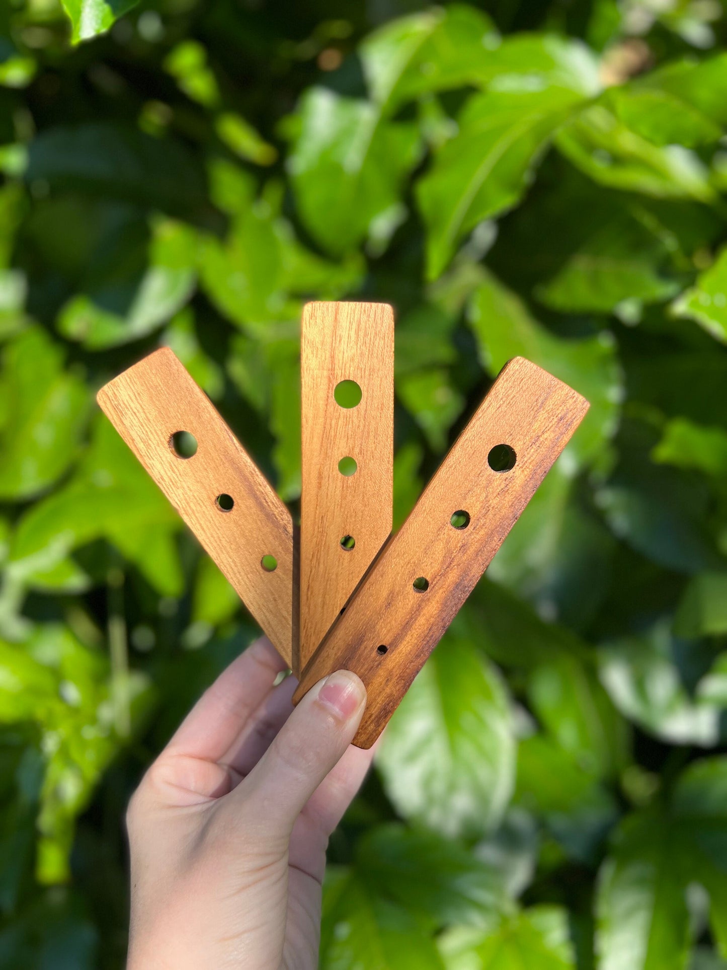 Cedar Herb Stripper