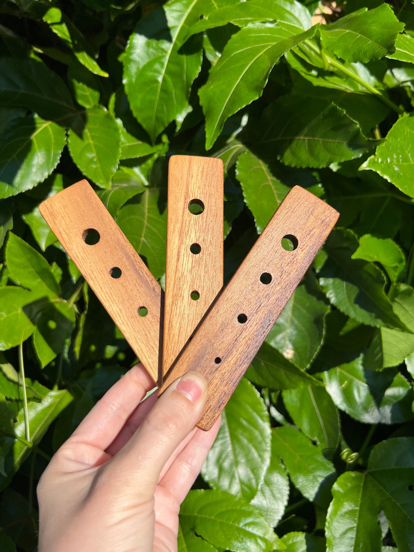 Cedar Herb Stripper
