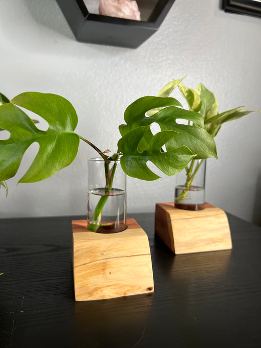 Red Cedar Vase