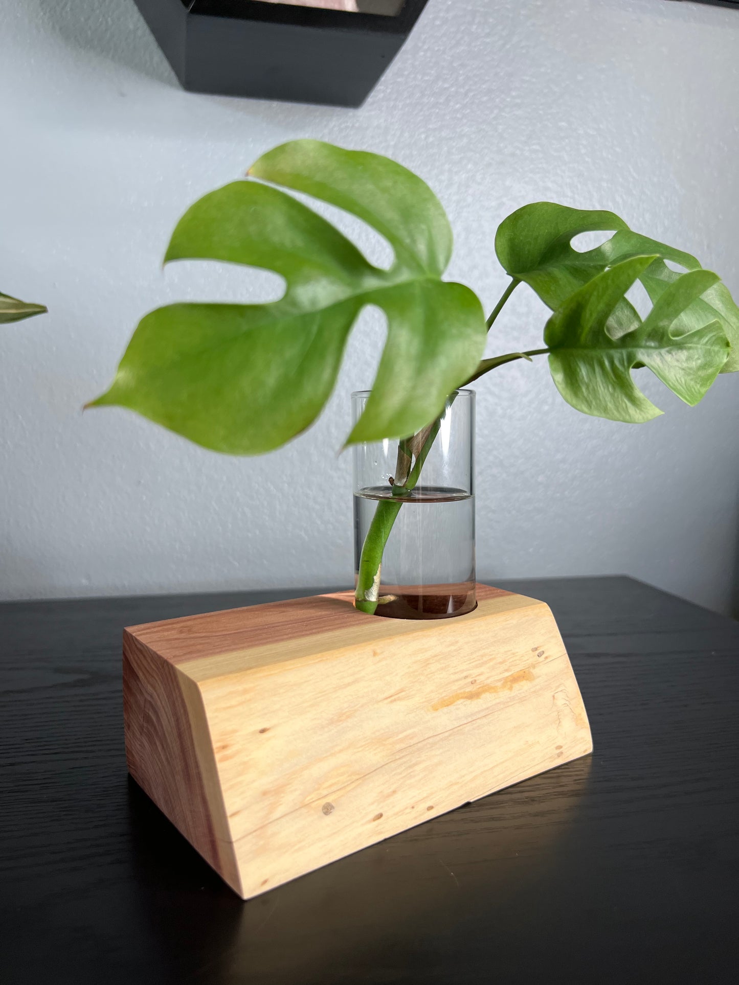 Asymmetrical Red Cedar Vase