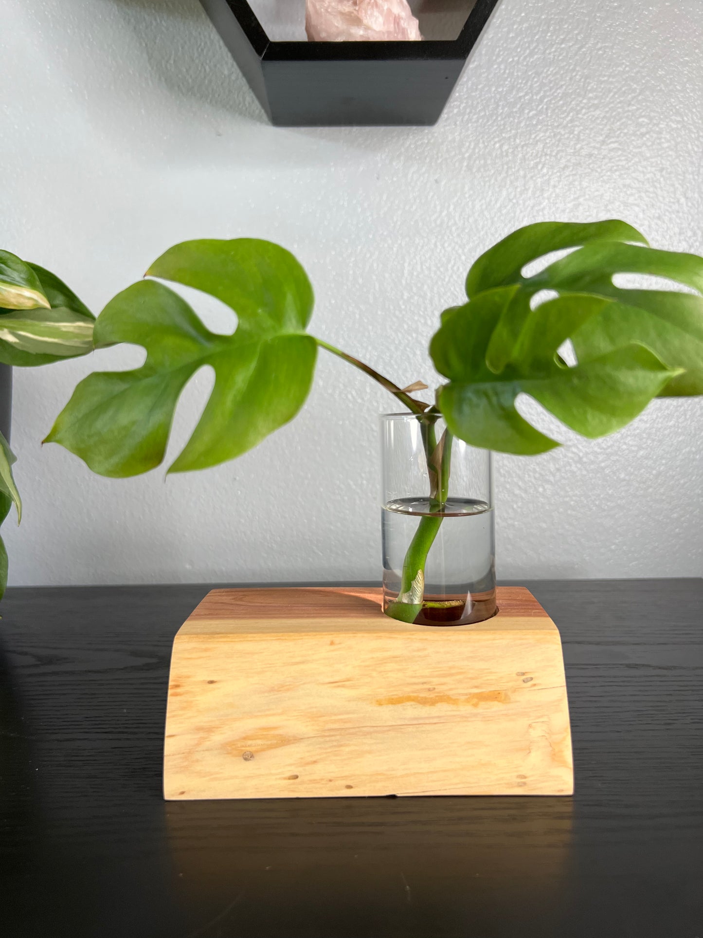 Asymmetrical Red Cedar Vase