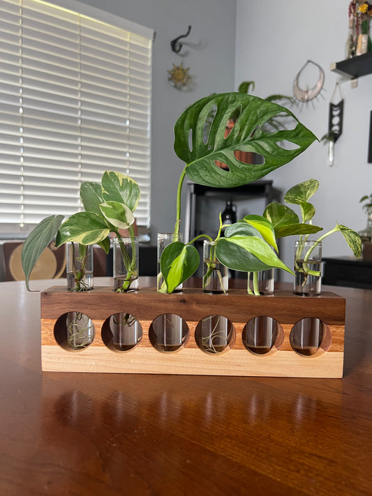 XL Tricolor Propagation Station (Natural)