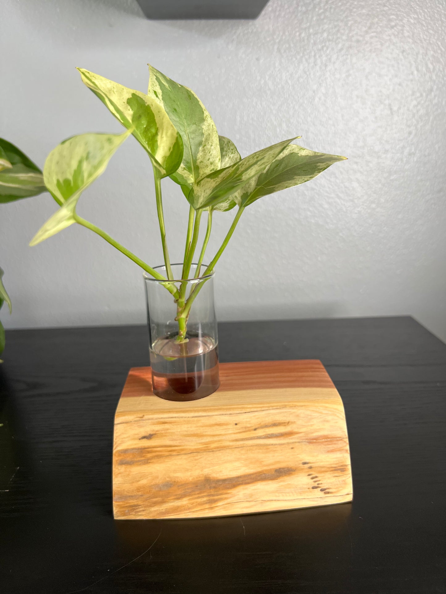 Asymmetrical Red Cedar Vase