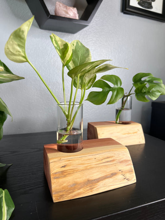 Asymmetrical Red Cedar Vase